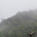 주식회사 마리 이미지