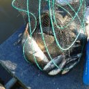 양사낚시터 이미지