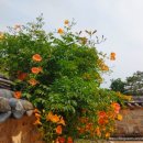 수로왕릉 이미지