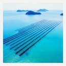 더맛있는김밥 | 세원씨엔푸드 두번 구워 더 맛있는 김밥용김 정성담김100매입 스틱김자반 키토 삼각 김밥 리얼후기