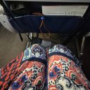 하와이 | 하와이안에어라인 인천 - 하와이 - 포틀랜드 후기