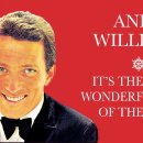 Andy Williams - It's the Most Wonderful Time of the Year 이미지