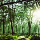 성태자원 이미지