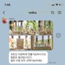 [돌잔치] 돌준맘의 소규모 돌잔치 준비(3) - 돌상, 돌스냅, 돌DVD