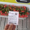 일등 복권 판매점 당첨번호 Lotto 구매 후기 《 로또 1등 판매점 여주 성공 복권방 내돈내산 구매 후기 》
