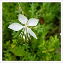 양재근린공원 이미지