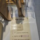 대전 용두동 대형카페 엘오공이커피로스터즈 주차 가능 노트북 카페 후기