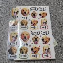 원조무교동감자탕(청림점) | 풀하우스보다 훨씬 좋은 곳이 있다고?!