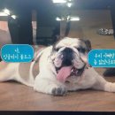 스카이닥터스 이미지