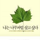 걷는나무 네이버블로그
