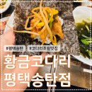 황금코다리송탄점 | 조림과 막걸리 무한리필을 즐길 수 있는 '황금코다리 평택송탄점' 방문후기 (내돈내산/송탄코다리맛집)