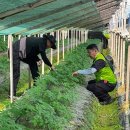 지주 이미지