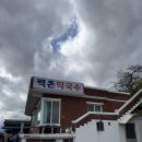 화수막국수 | 2026 속초여행 : 1박2일 맛집여행 백촌막국수 최옥란할머니순두부 스위밍터틀