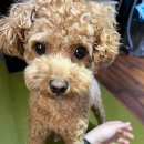 복만이디자인