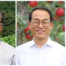 대산연구소