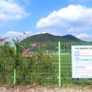 화산체육공원5 티스토리
