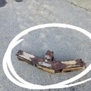 수리농장 이미지