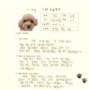 1251 | [#1251] 가을(양측 슬개골탈구 G3)의 수술후기