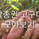 논밭상점 이미지
