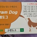 민트도그 이미지