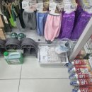 다이소영월점 이미지