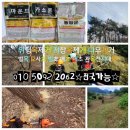 차이마취통증의학과의원 이미지