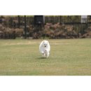 비쥬폼코리아 이미지