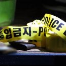 휘둘러