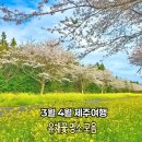 서우봉해변(관리사무소동쪽) | 3월 4월 제주도여행 어디로 갈까? 제주도 유채꽃 명소 모음