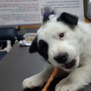 양지 농장2 이미지