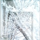 띵까띵까 이미지