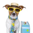 아라동물병원 이미지