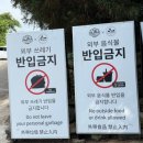 전광식농장 | [제주 월평동] 아침미소목장 / 제주도 동쪽 아기랑 갈만한 곳, 제주도 여행코스, 먹이주기 체험 카페...