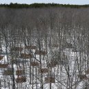 GOOD LIFE DOG 이미지