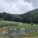 성곡농장 이미지