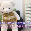 곰돌이 이미지