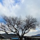 원용복마을 이미지