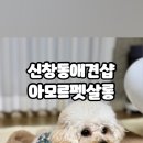 아모르 펫 살롱 이미지