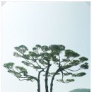 조경관리 이미지