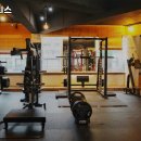 머슬 H 휘트니스 이미지