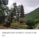 2024.4.13(토)충청남도 계룡산 정기산행 이미지