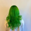 라임헤어 이미지