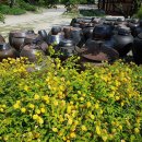 초가정원 이미지