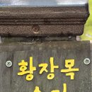 24년9월7일(토)치악산황장목숲길(원석대장님 리딩) 이미지