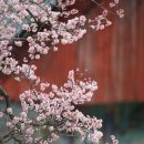 ㈜동부자동차검사정비센터 | 신문브리핑 3.5 목요일