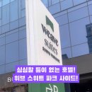 선유파크골프