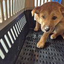 반월119안전센타 이미지