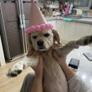 수성못커피카페 이미지