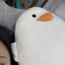 마곡왁싱 임산부도 가능한 에코슈가링왁싱 브라질리언 후기