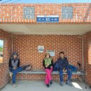 월정방풍림 이미지